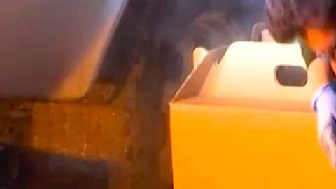 Se hallaron 100 gallos en el sitio.