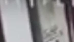 El momento en que el perro quedó atrapado.