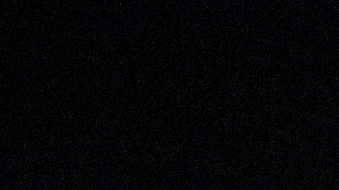 Ser Oscar de la Renta en el Centro León hasta abril 2020 (1)