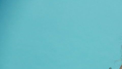 shutterstock_1036178347