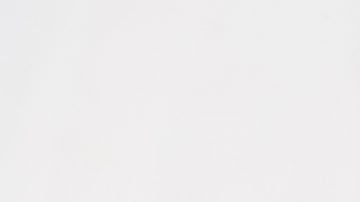 shutterstock_1039222381