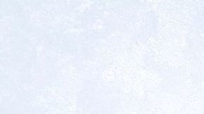 Los refrescos, las comidas rápidas, los productos elaborados con harinas refinadas y azúcares simples son los responsables de la aparición de enfermedades degenerativas.