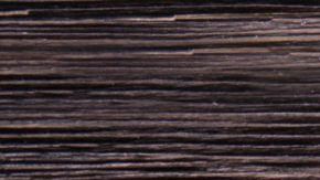 shutterstock_1072276952