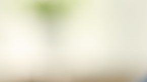 shutterstock_1095723209