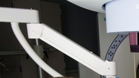 shutterstock_1099113275