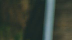 shutterstock_1110566690
