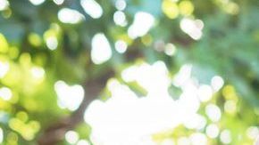 shutterstock_1163076853