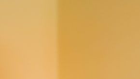 shutterstock_1214482594