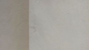 shutterstock_1244900149