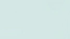 shutterstock_1299523177