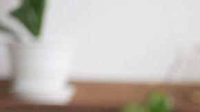 shutterstock_1368244247