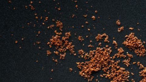 shutterstock_1383216440