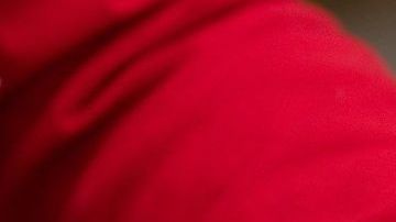 shutterstock_1473803288