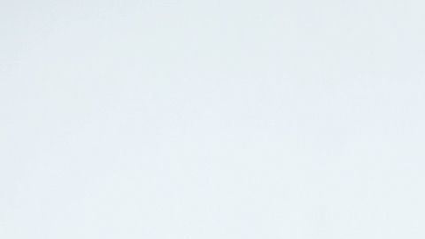 Llegan sin avisar y siembran cizaña hasta lograr discordia en la pareja.