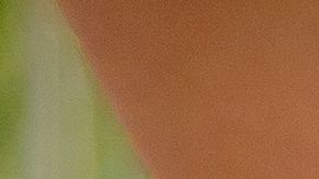 Una buena técnica hará que quemes las mismas calorías.