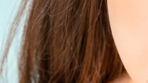 shutterstock_1571058046