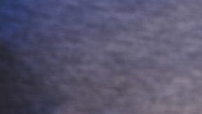 shutterstock_259742720