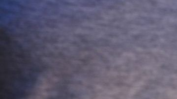 shutterstock_259742720