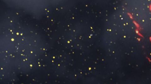 La NASA detectó que el asteroide pasará cerca de la Tierra.