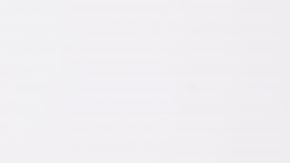 shutterstock_338969444