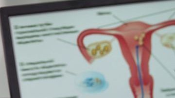 shutterstock_407531302