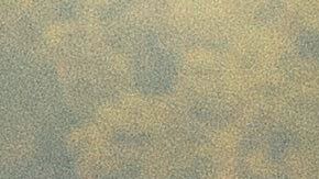 shutterstock_435449356