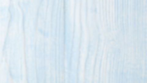 El nopal es un alimento sumamente nutritivo, completo y versátil, se puede consumir en crudo, asado o al vapor.