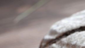 shutterstock_456046198