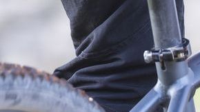 shutterstock_501621727