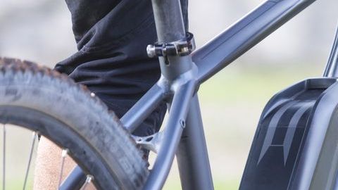 shutterstock_501621727