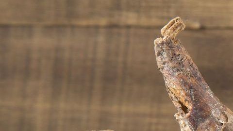 shutterstock_504959770