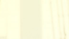 shutterstock_538505989