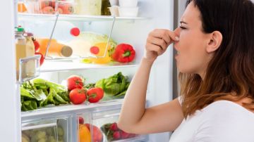 Aprende a limpiar tu refrigerador y evitar los malos olores.