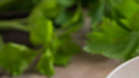 shutterstock_560830615