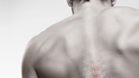 shutterstock_590676011