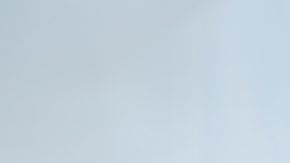 shutterstock_645685942