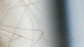 shutterstock_646918009