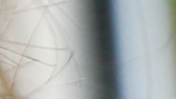 shutterstock_646918009