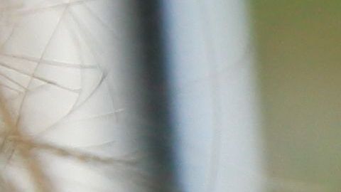 shutterstock_646918009