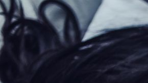 shutterstock_705184123