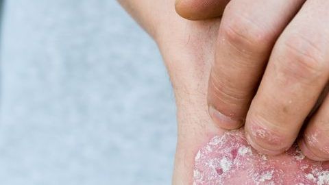 shutterstock_717552469