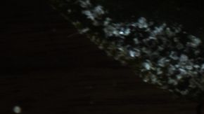 La niña descubrió al abrir el paquete de tarjetas una llamada de auxilio.