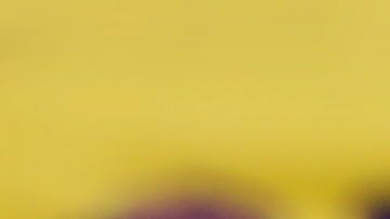 La enfermedad sigue arraigada en las comunidades más vulnerables.