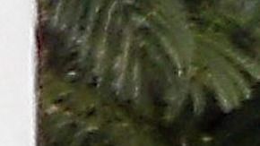 Photo © 2019 Spread Pictures/The Grosby Group
Spain: Lagencia Grosby

*EXCLUSIVE* 
St Barts, December 07, 2019. 
Bella Hadid shows off her incredible physique on a tiny bikini while enjoying the Caribbean sun with friends including Jesse Jo Stark, Devon Carlson and Lauren Perez in St Barts.