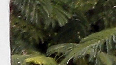 Photo © 2019 Spread Pictures/The Grosby Group
Spain: Lagencia Grosby

*EXCLUSIVE* 
St Barts, December 07, 2019. 
Bella Hadid shows off her incredible physique on a tiny bikini while enjoying the Caribbean sun with friends including Jesse Jo Stark, Devon Carlson and Lauren Perez in St Barts.