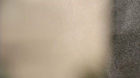 te verde-efedra-pxhere