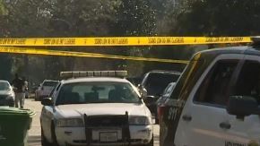 No se ha dado a conocer un motivo por el tiroteo.