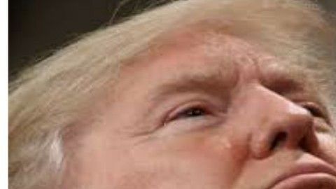 Trump, AMLO. El Menchito