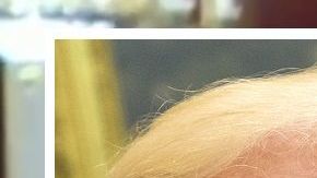 El presidente no acudirá a la conferencia de prensa final de la OTAN.