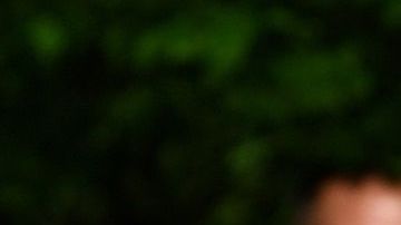 Wegner lamentó que el mexicano no destacara en su equipo.